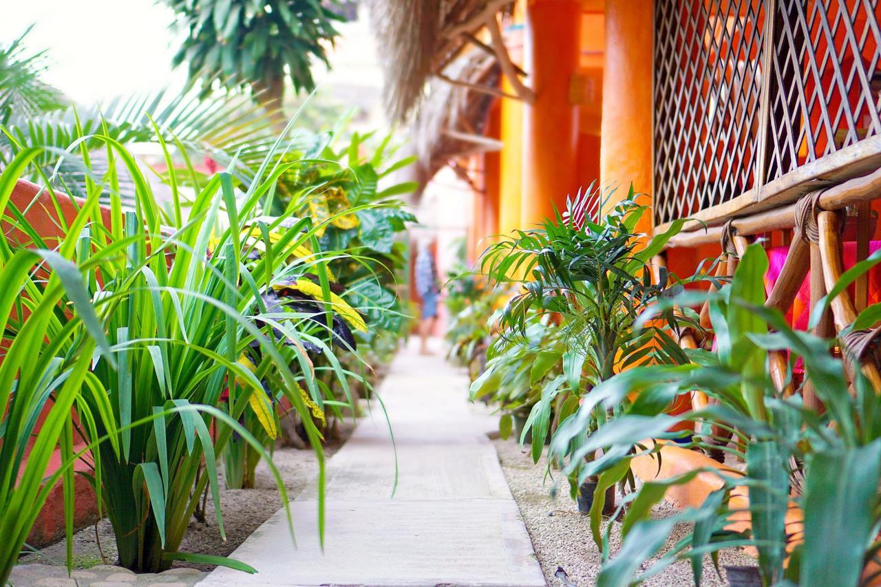 Aurinko Bungalows سايوليتا المظهر الخارجي الصورة